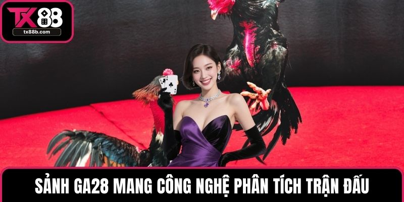 Đá gà TX88 Sảnh GA28 mang công nghệ phân tích trận đấu