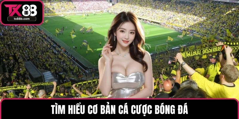Tìm hiểu cơ bản cá cược bóng đá