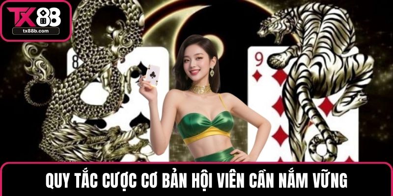Rồng Hổ - Quy Tắc Cược Và Lợi Ích Nổi Bật Khi Giải Trí Quy tắc cược cơ bản hội viên cần nắm vững