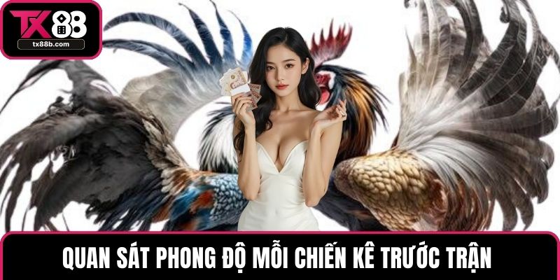 Đá Gà Trực Tiếp – Trải Nghiệm Hấp Dẫn Nhất Hiện Nay Quan sát phong độ mỗi chiến kê trước trận