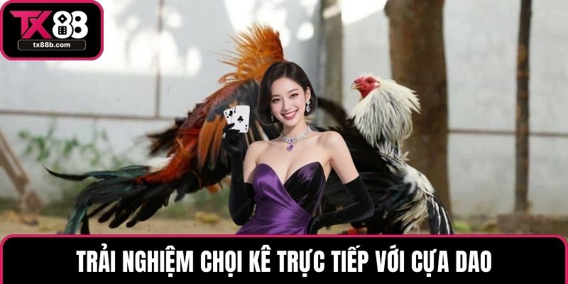 Đá Gà Trực Tiếp – Trải Nghiệm Hấp Dẫn Nhất Hiện Nay Trải nghiệm chọi kê trực tiếp với cựa dao