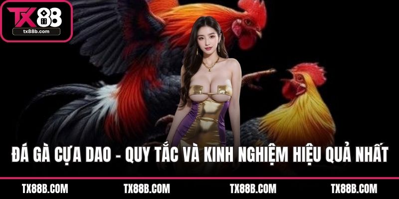 Đá Gà Cựa Dao – Quy Tắc Và Kinh Nghiệm Hiệu Quả Nhất