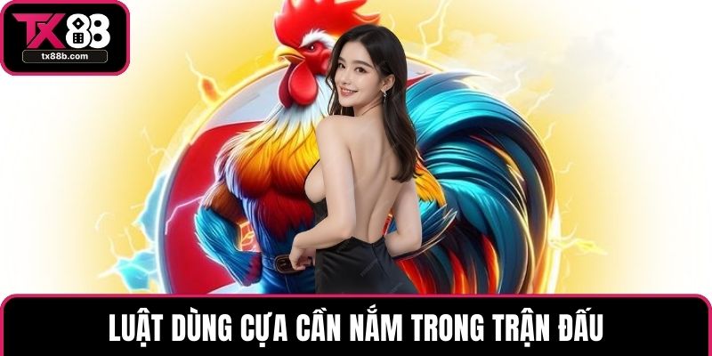 Đá Gà Cựa Dao – Quy Tắc Và Kinh Nghiệm Hiệu Quả Nhất Luật dùng cựa cần nắm trong trận đấu