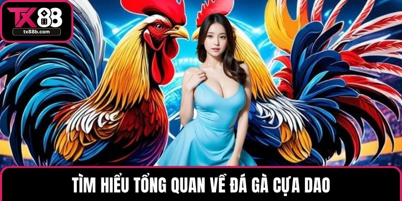 Đá Gà Cựa Dao – Quy Tắc Và Kinh Nghiệm Hiệu Quả Nhất Tìm hiểu tổng quan về đá gà cựa dao