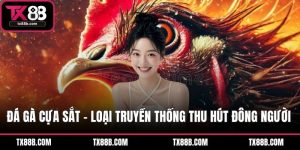 Đá Gà Cựa Sắt – Loại Truyền Thống Thu Hút Đông Người Chơi