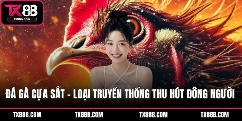 Đá Gà Cựa Sắt – Loại Truyền Thống Thu Hút Đông Người Chơi