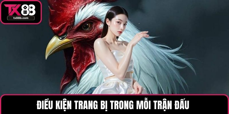 Đá Gà Cựa Sắt – Loại Truyền Thống Thu Hút Đông Người Chơi Điều kiện trang bị trong mỗi trận đấu