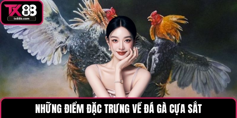 Đá Gà Cựa Sắt – Loại Truyền Thống Thu Hút Đông Người Chơi Những điểm đặc trưng về đá gà cựa sắt